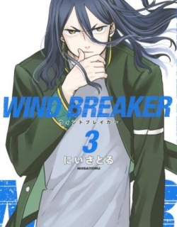 Wind Breaker (NII Satoru)