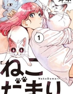 Nekodamari - Manga