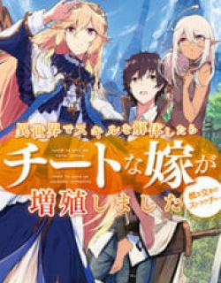 Isekai de Skill wo Kaitai shitara Cheat na Yome ga Zoushoku Shimashita: Gainen Kousa no Structure