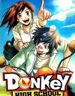 Donkey High School