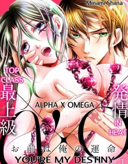 Top Class Alpha X Omega In Heat: You're My Destiny