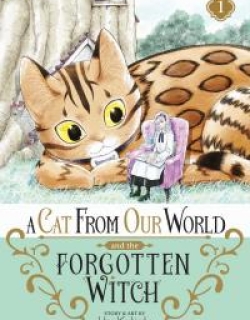 A Cat from Our World and the Forgotten Witch