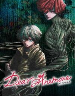 Dear Anemone