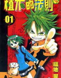 Law Of Ueki Plus