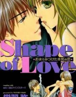 Shape Of Love