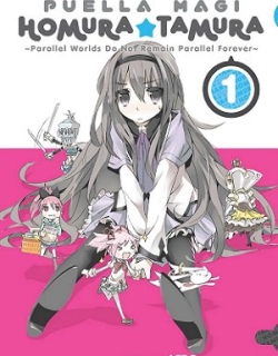 Puella Magi Homura Tamura ~Parallel Worlds Do Not Remain Parallel Forever~