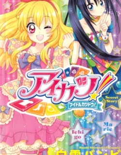 Aikatsu! Secret Story