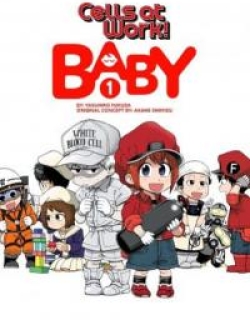 Hataraku Saibou BABY