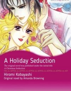 A Holiday Seduction