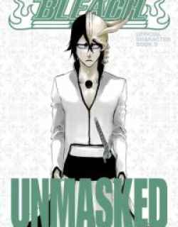 Bleach Unmasked