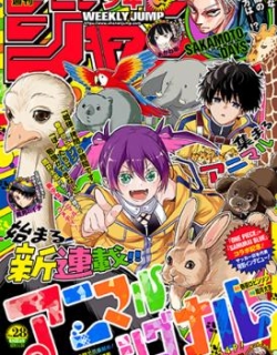 Animal Signal