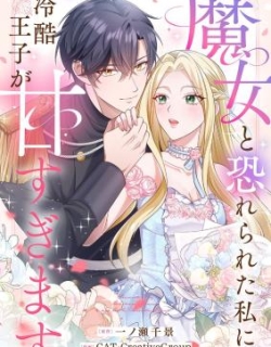 The Cold Prince's Sweet Witch