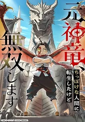 The Former Divine Dragon Reincarnated as a Puny Human, but Is Still Unrivaled.