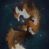 BrokenConstellation